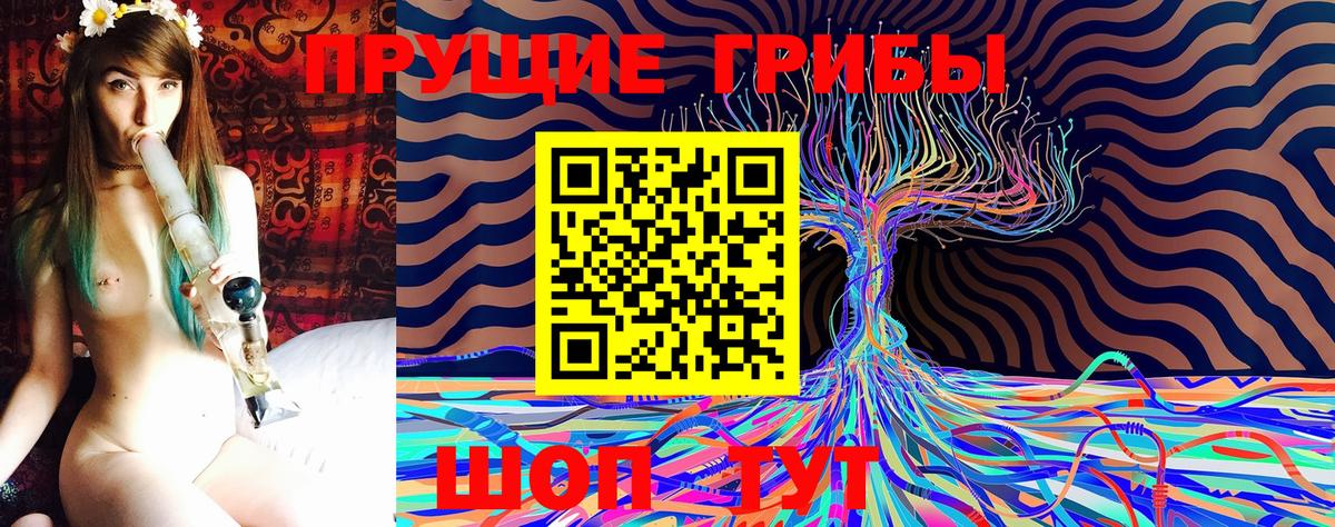 Псилоцибиновые грибы Psilocybine cubensis Дмитров