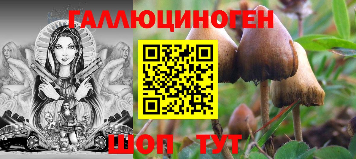 Галлюциногенные грибы GOLDEN TEACHER  Вход с VPN  Дмитров 